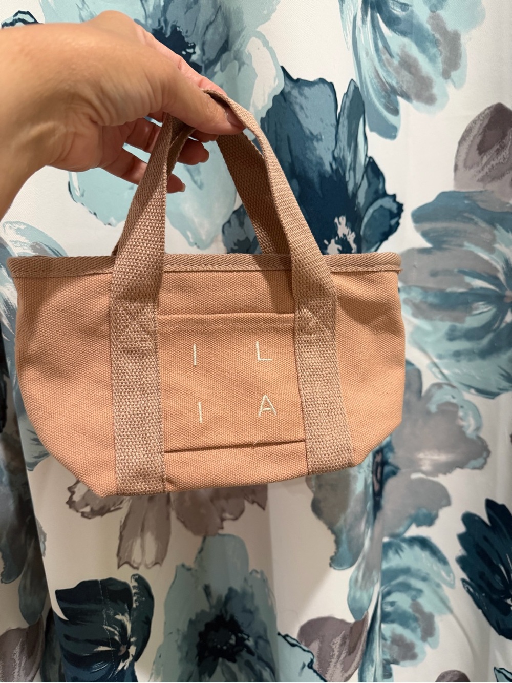 Ilia Beige Canvas Mini Tote Bag with Top Handles